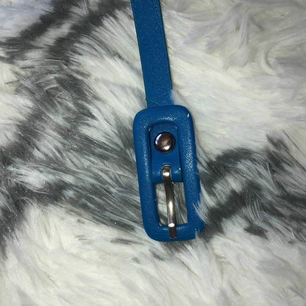 Blue Belt - Picture 2 of 3